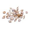 10Pcs Plastic Acrylic Shells Conch Starfish Shape Beads Charm for Bracelet Necklace DIY Jewelry Making Accessories