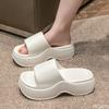 New Women's Wear Resistant Thick Bottom Soft Summer Outerwear Anti Slip Height Boosting Home Trendy Cool Slippers Simple Zapatos