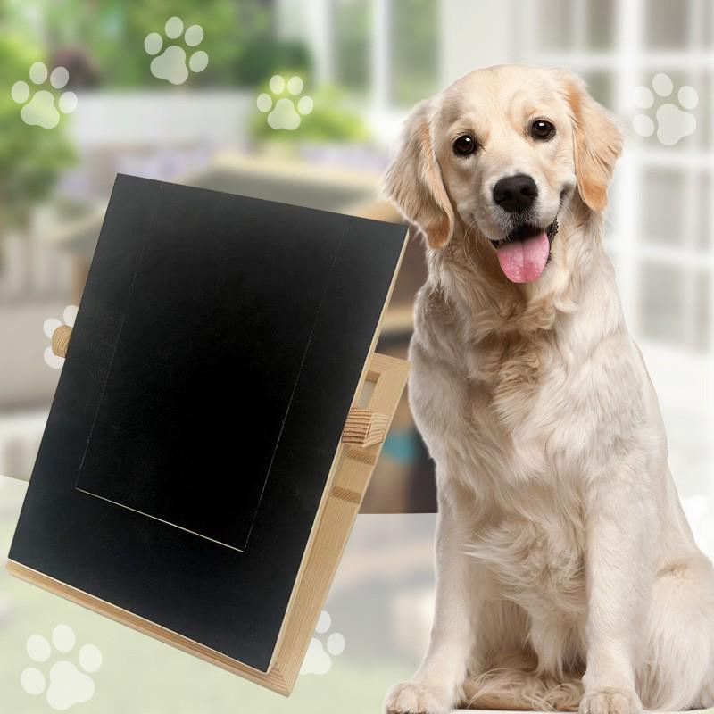 Adjustable Wooden Dog Nail Scraper & Scratch Board with Food Bowl Feeder