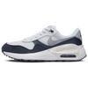 Детские кроссовки Air Max SYSTM PS White Obsidian Wolf-Grey DQ0284-103