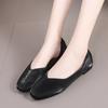 Pointed Toe Soft Sole Large Size Mother Single Shoes for Women Spring and Summer New Roman Style Slip On Fashion Women Shoes