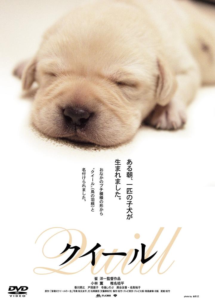 Those Days Movie Shochiku DVD Collection Quill