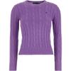 Polo Solid Color Crew Neck Long Sleeve Sweater Women Sweater Lavender 211891640-028