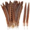 15-20 Cm Natural Feathers, Suitable for Crafts, Home, Wedding, Party, Show, DIY Decoration, Female Pheasant Feathers