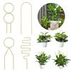 Iron Climbing Rack Garden Supplies Plant Sticks Decorations Plant Support Stakes Garden