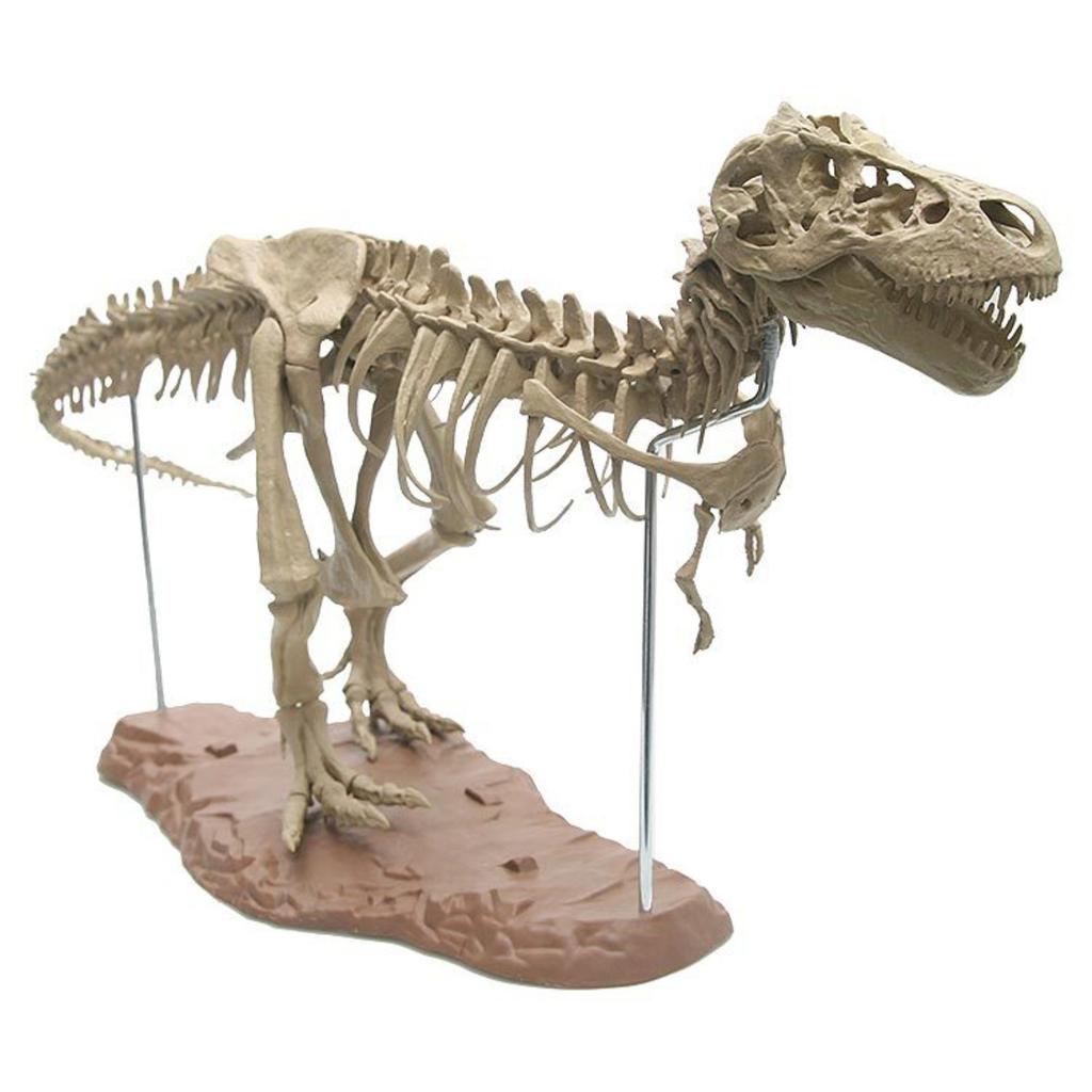 10ml Dinosaur Skeleton Resin Crafts Personalized Desktop Ornaments