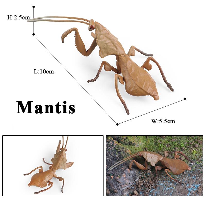 Oenux Simulation Dragonfly Grasshopper Centipede Wild Insect Animals Model Action Figures Miniature Education Collection Kid Toy