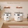 Small Electric Steamer & Rice Cooker: 304 Stainless Steel, 1-3 Person Capacity, Multi-function for Cooking, Steaming & Boiling