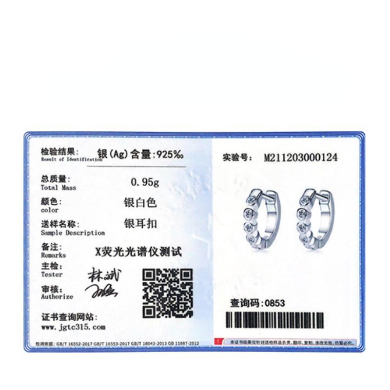 Tancise 925 Sterling Silver Zircon Earrings Drop Earrings For Women Wedding Party Gifts