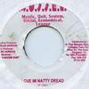 7inch Record SASHA / JAH MASON - Love Mi Natty Dread / Never Ungrate Mussel 2000 Jamaica Reggae, Ska & Dub