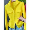 Fashion Zipper Short Knitted Cardigan Sweater Spring Autumn New Korean Versatile Coat Top Turn-Down Col Sweater Solid Color