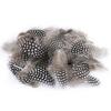 100PCS Guinea Fowl Pheasant Feathers Natural Feathers Spotted 5-8cm Feathers for Crafts Dream Catcher Plume Decoration