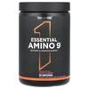 Essential Amino 9, Fruit Punch, 330G(11.64Oz)