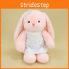 Rabbit Skirt Floral Plush Doll Childrens Animal Toy Pp Cotton Soothing Gift