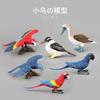 Simulation Animal Model Toy Bird Macaw Doll Ornament Static Animal Jewelry Boutique