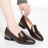 Mom Shoes Spring And Autumn Women's Leather Shoes Thick Heels Work Women's Shoes Comfortable Soft Sole Single Shoes Work Shoes
