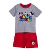 Mickey Mouse Gray Clothing Set 6 Years