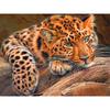 5D DIY Diamond Painting Lovely Tiger Embroidery Cross Stitch Rhinestone Mosaic Home Decor