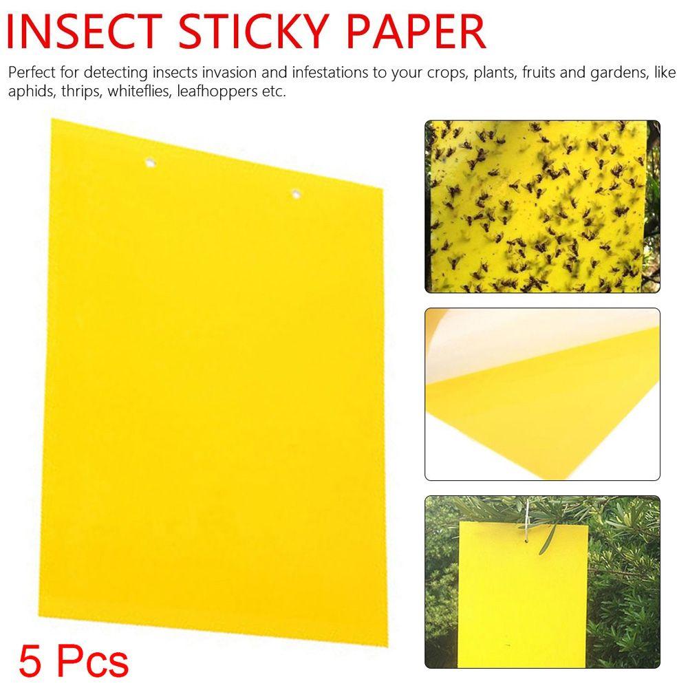 Glue Garden Supplies For Aphids Flies Bug Insect Trap Insect Killer Pest Control Sticky Board