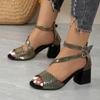 Ladies Shoes 2024 Hot Sale Buckle Women's Sandals Summer Open Toe Casual Chunky Heels Large Size Sandals Zapatos De Mujer