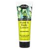 Moisturizing Hand & Body Lotion, Cucumber Melon, 238Ml(8Fl Oz)