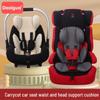 Universal 4-Season Infant Carrier/Stroller Pad with Head & Waist Support
