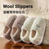 Bag Heel Cotton Shoes Autumn and Winter Fleece Mop Indoor Home Thick-soled Couple Warm and Comfortable Cotton Slippers