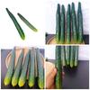 Realistic Artificial Cucumber Simulation Cucumber Vegetable Decoration for Display Home Party Decoration Photography