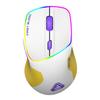 Ajazz F22 Wired Gaming Mouse Computer Gamer Ergonomic Mouse for Gaming Fps/office DPI Switch