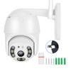 2.5in Wifi 1080P Dual Light Sources Cam IP66 PTZ Dome Security Camera for Android/IOS