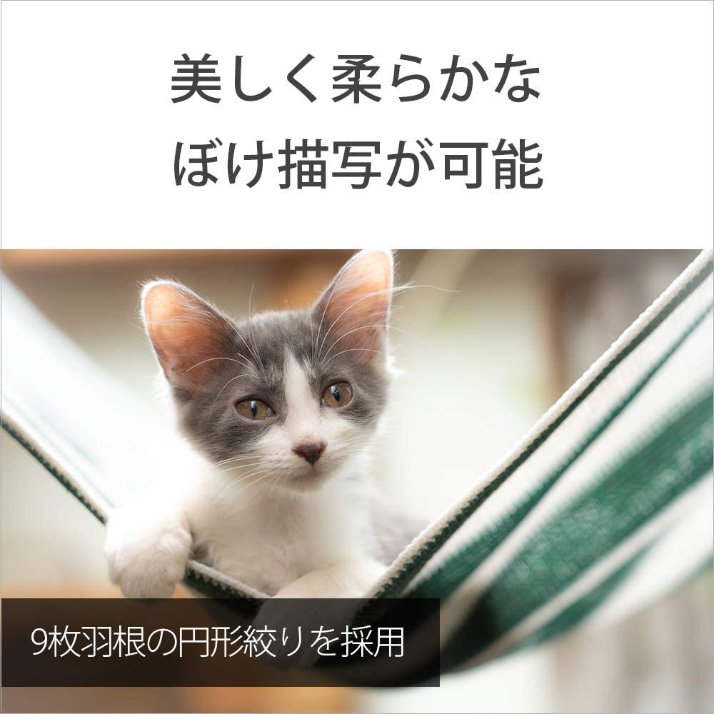 Sony Standard Zoom Lens Full Size FE 24-105mm F4 G OSS G Lens for Digital Single Lens Camera [E Mount] Genuine Lens SEL24105G