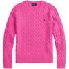 Polo Solid Color Crew Neck Long Sleeve Sweater Women Sweater WMPOSWENC021307650