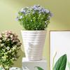 Wear-resistant Flower Pots Large-diameter Lazy Water-absorbing Flowerpot
