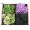 1 Bag Simulation Moss Vibrant Realistic Doll House Artificial Moss Green Plants for Miniature Scenes DIY Projects