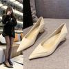 Fashion 2024 New Pointed French Low Heel Shoes, Female Celebrity  Spring and Autumn Season  Light Mouth Style Fashion High Heel Shoes