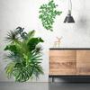 Green Leaves Wall Stickers For Home Living Room Decorative Vinyl Wall Decal Tropical Plants DIY Kid Door Murals Wallpaper
