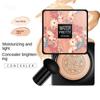 Beauty Cream Cosmetics Air Cushion Mushroom Sponge Head CC Concealer Moisturizing Makeup BB Cream
