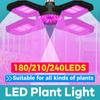 200W LED Full Spectrum Grow Light E27/E26 Deformable Green Plant Fill Lamp Bulb Hydroponic Growth Box Seeds Cultivation Lighting