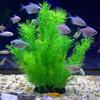 Aquarium Plants Ornaments Plastic Simulation Artificial Water Grass Fish Tank Decoration Accessories