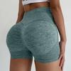 Women's Seamless Tight Fitting High Waisted Casual Shorts, Sports Yoga Shorts, Fitness Pants