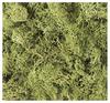 KATO Diorama Supplies Natural Material Plants Light Green Railway Model Supplies 24-332