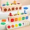 Montessori Geometric Shapes Color Sorting Toy for Children Ages 2-6