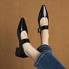2025 Spring New Pointed Thick Heel High Heels Shallow Mouth Buckle Single Shoes Women's Shoes Fashion Trend European and American Style