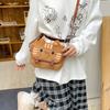 Girl Cute Kitten Cartoon Messenger Bag Season High Value Girl Foreign Style Plush Small Square Bag
