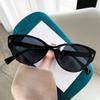 Cat's Eye Frame High-Grade Women's Sunglasses Xiaohongshu Douyin Online Influencer Personality Trendy Sunshade Male Sunglasses