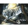 5D DIY Diamond Painting Leopard Full Square Diamond Embroidery Animal Rhinestone Art Home Decorations