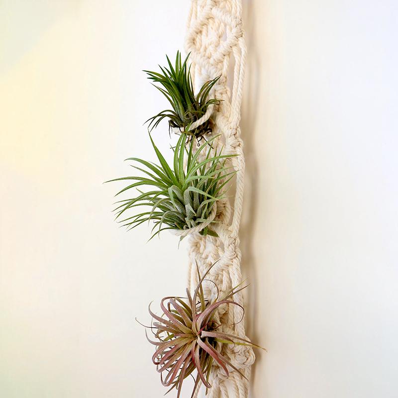 1Pcs Tassels Plant Hanger Macrame Air Hanging Air Pineapple Holder Wall Plant Basket Boho