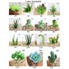 Simulation Artificial Succulent Fake Plants Plastic Flowers Home Floral Decor