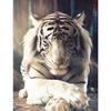Full 5D Diy Diamond Painting Quiet Tiger Embroidery Cross Stitch Home Decor Handmade Gift
