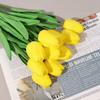 2 Bunch of PU Simulation Tulips